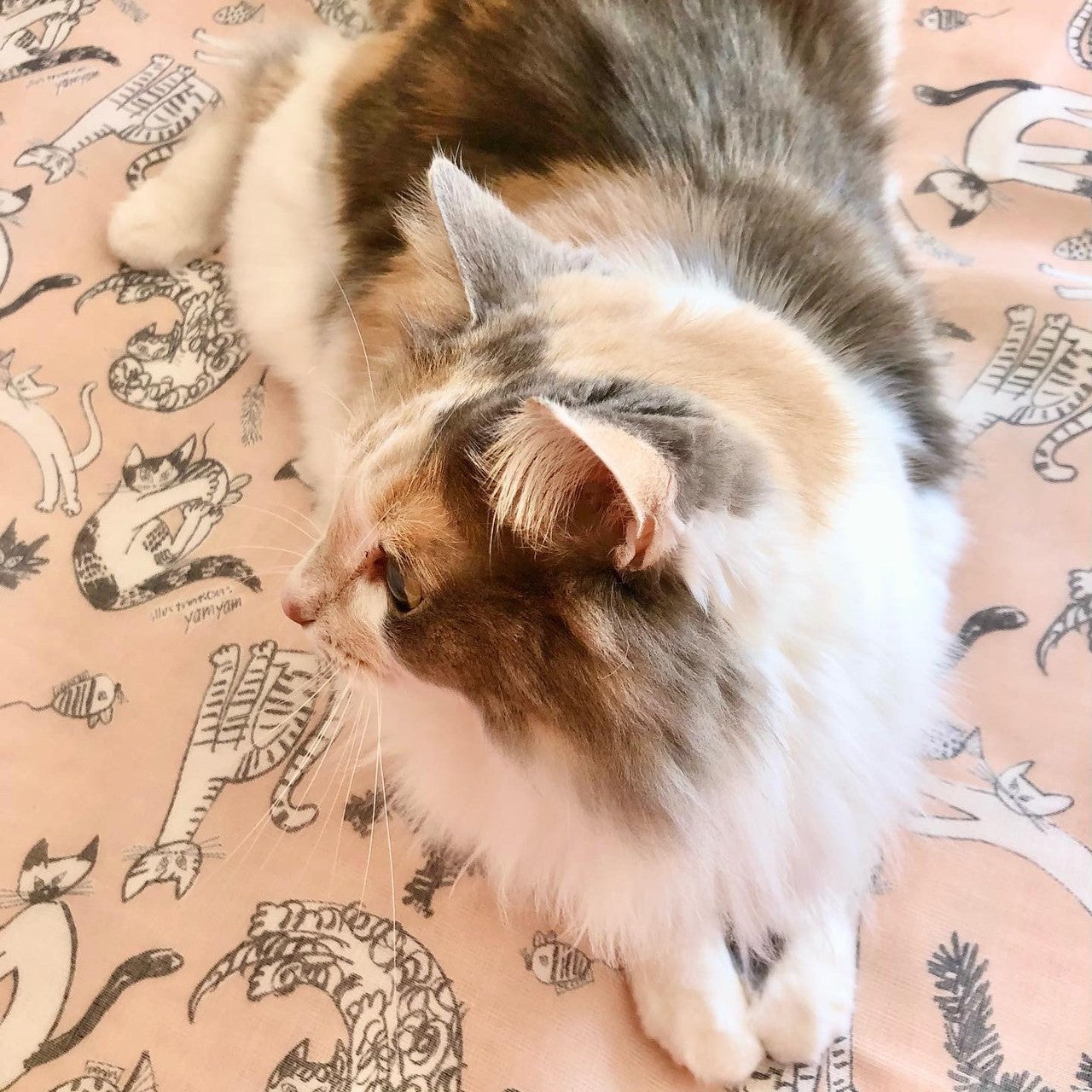 The Special Tea Towel Bundle