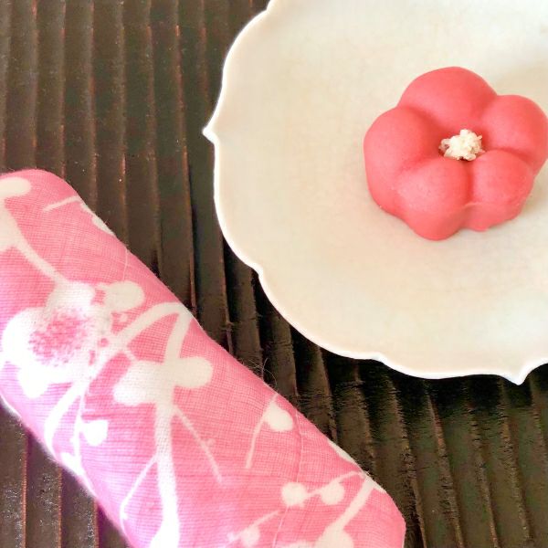 Shirayuki Japanese Fine Mesh Kitchen Cloth - Pink Plum Tree