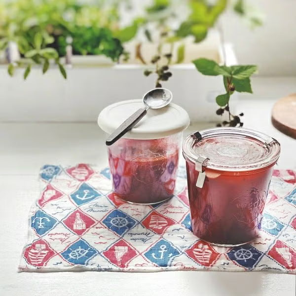 Shirayuki Japanese Fine Mesh Kitchen Cloth - Red & Blue Marine Memories